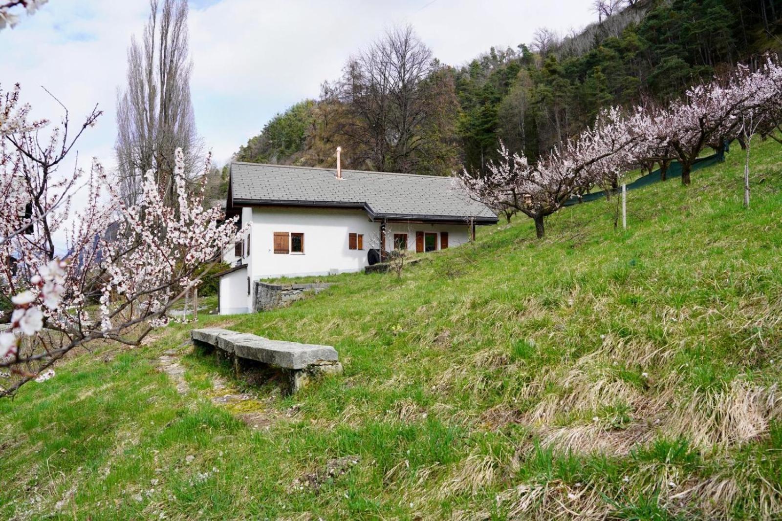 Maisonnette De Campagne Sion Exterior foto